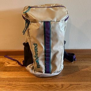 Patagonia 25L Black Hole Backpack - Rare & Retired Colorway